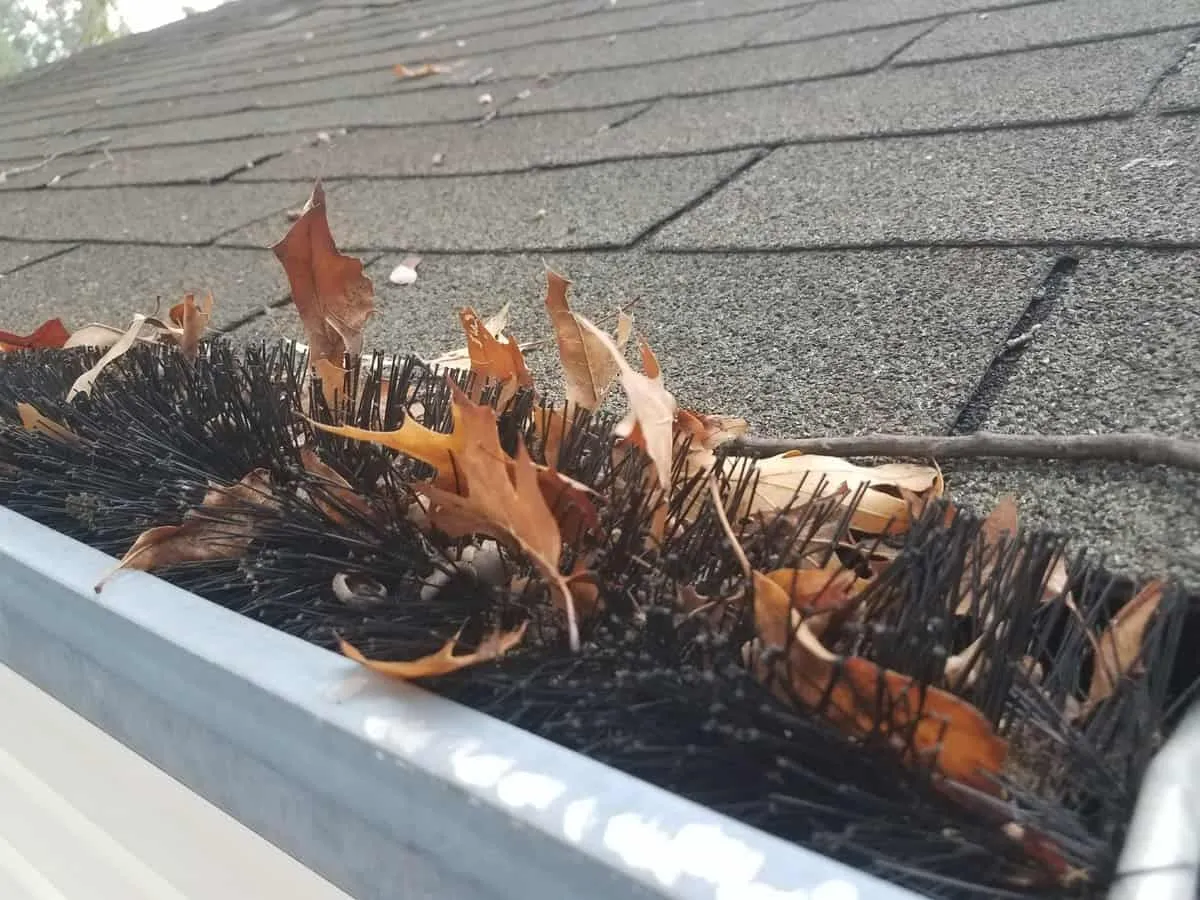 Nanotechnology in Gutter Cleaning: Tiny Solutions for Big Problems